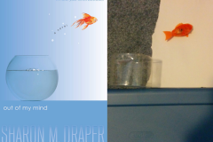 BookCover10