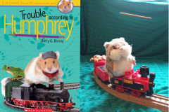 BookCover13
