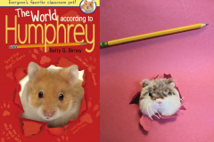 BookCover5