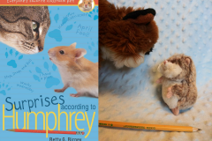 BookCover8